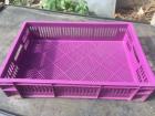 EuroNorm container 600x400x140mm perforated purple